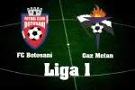 FC Botosani - Gaz Metan Medias